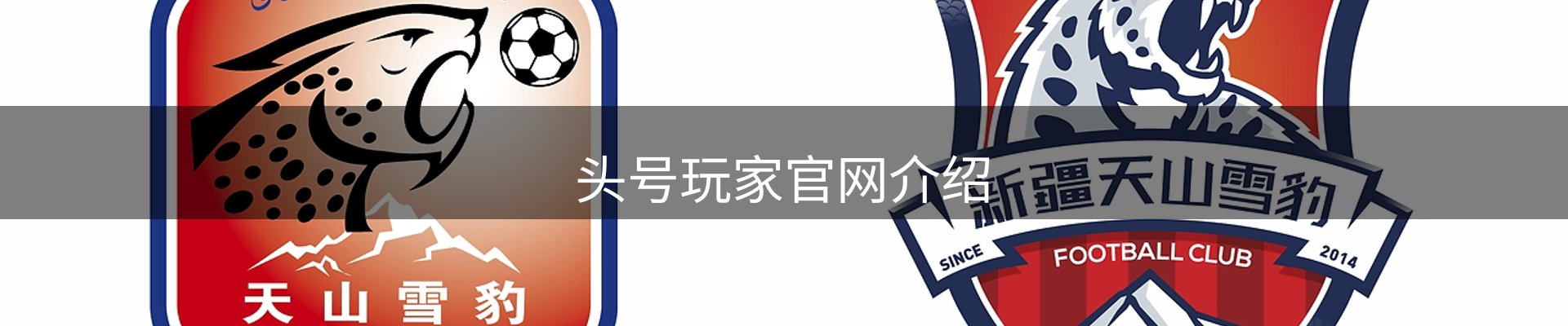 头号玩家官网介绍